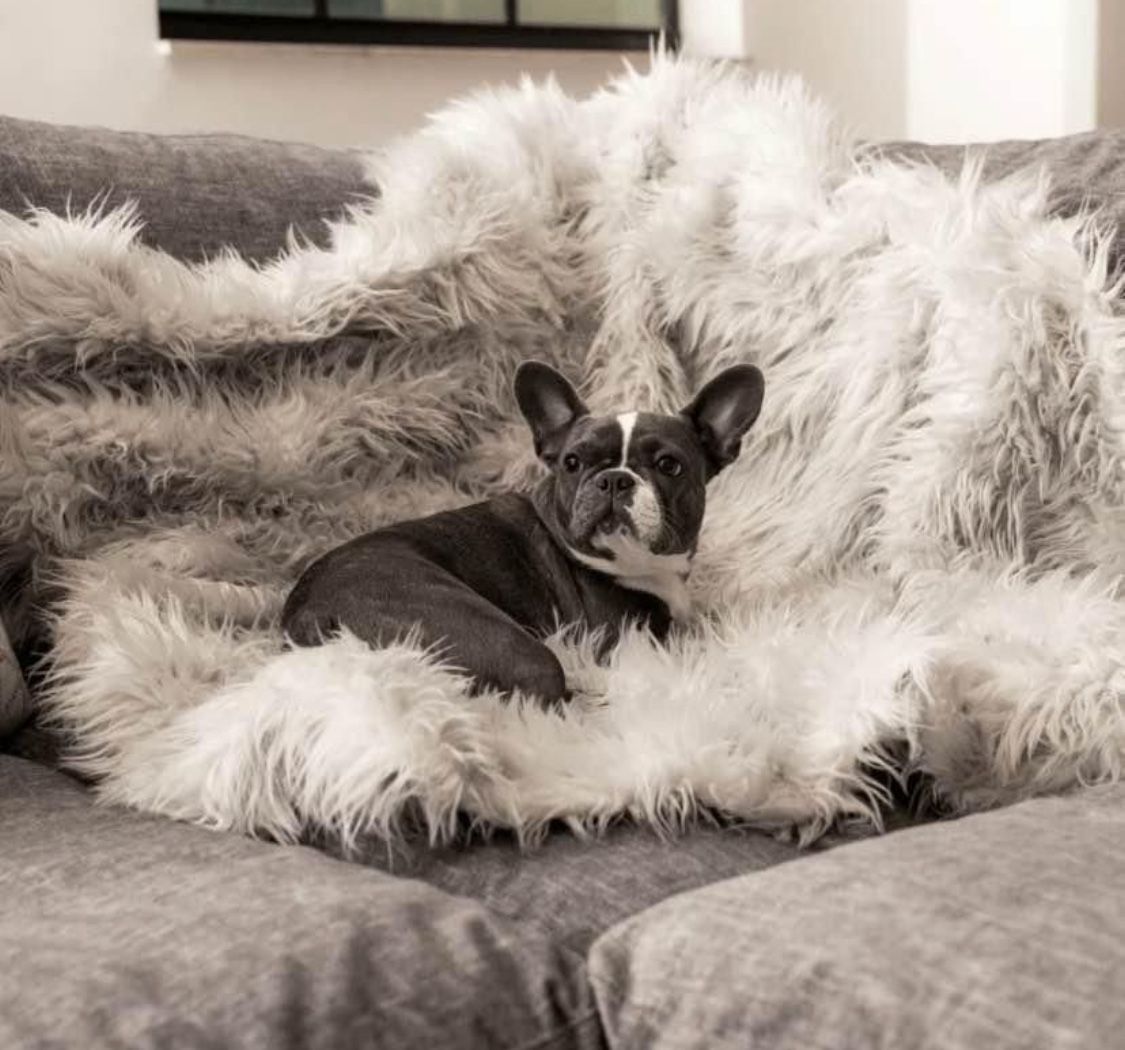 Paw pup dog furniture protector waterproof throw blanket