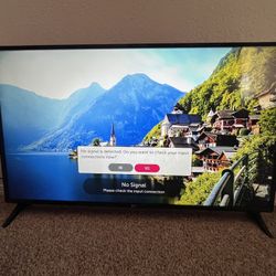 49” Lg Tv
