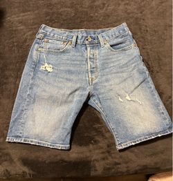 501 jorts