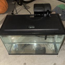 Fish/ Reptile Tank - 5 Gallon 