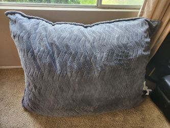 Large bean bag