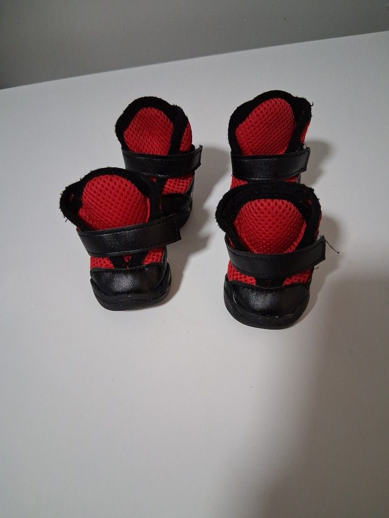 Tenis Para Perritos Size 5
