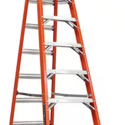 12’ Ladder 
