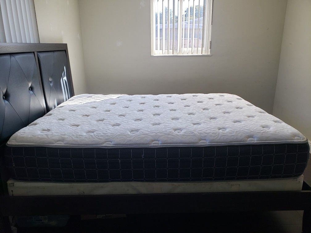Queen Size Mattress / Box Spring / Bed Frame for Sale in Fort Lauderdale, FL OfferUp