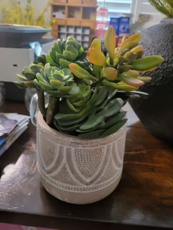 Faux Succulent Arrangement in Textured Pot