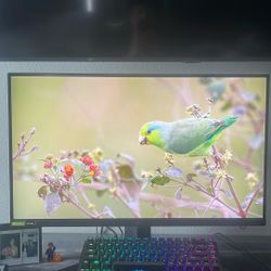 LG Gaming Monitor