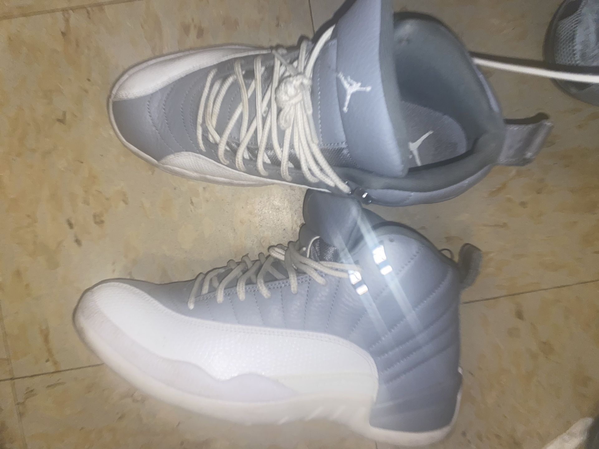 Jordan 12s