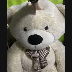 Big Teddy Bear 