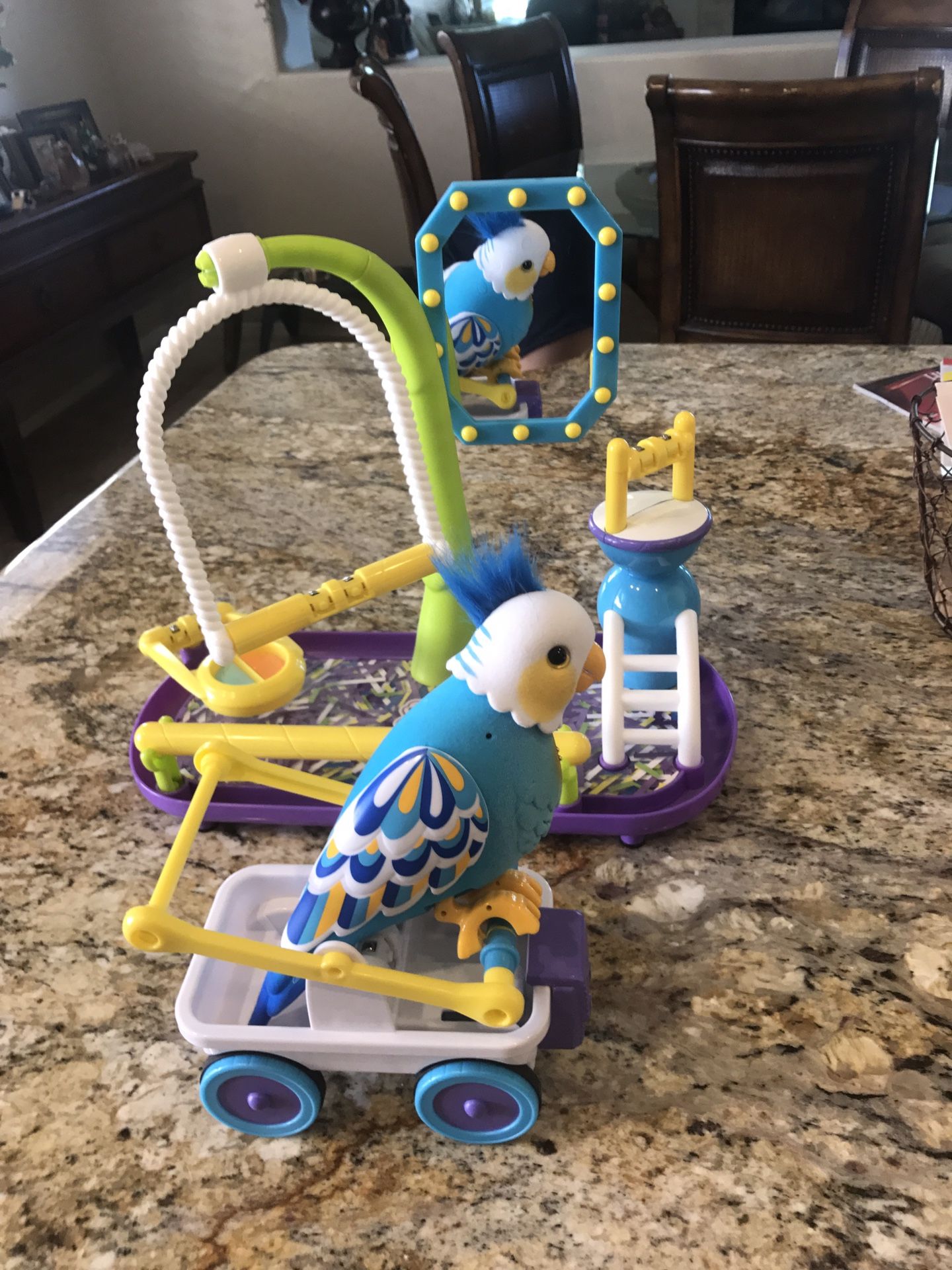 Little Live Pets Cleverkeet Bird Toy for Sale in Phoenix AZ OfferUp