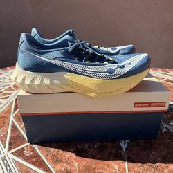 RUNNING WAREHOUSE X SAUCONY ENDORPHIN PRO 4 (size 10.5) NEW