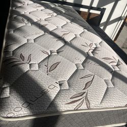 Twin Mattress 10 Inch