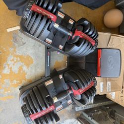 Bowflex Dumbells 