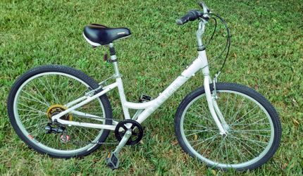 Raleigh Comfort Bike
