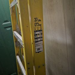 Werner 6ft Ladder