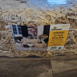 20-Inch Straw Bale (New)