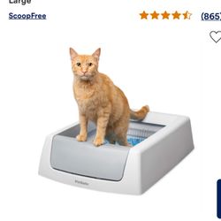 My Cat Will Only use the bathroom outside For Some reason. 