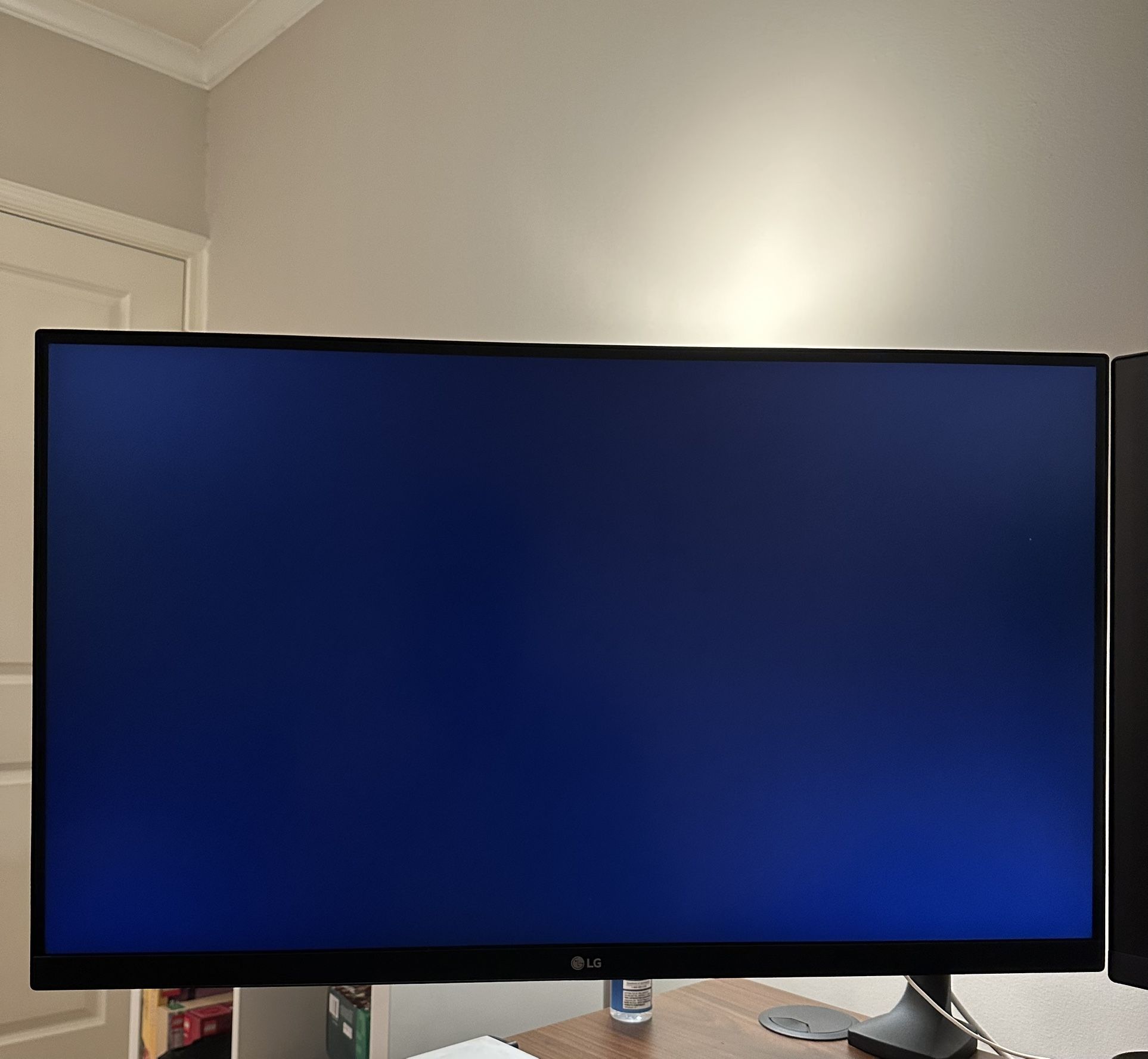 LG 4K Monitor
