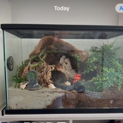 24x17x12 Fish Tank