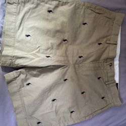 Polo Shorts