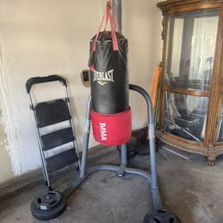everlast punching bag 