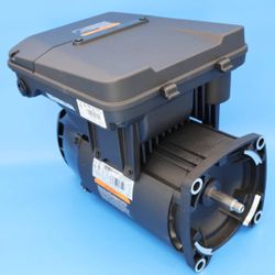 Jandy Pool Pump