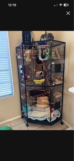 Bird Cage and Supplies
