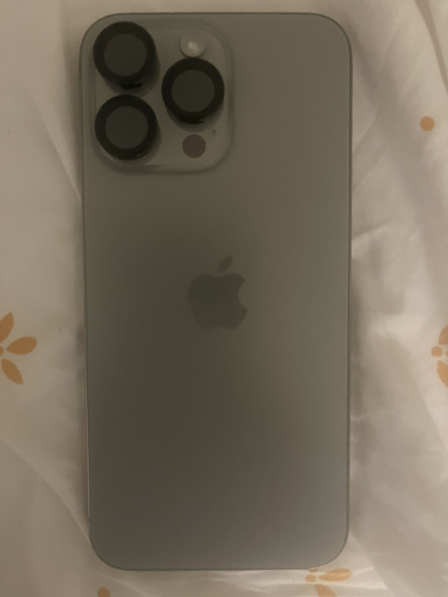 iPhone 15 Pro Max with Otter Case