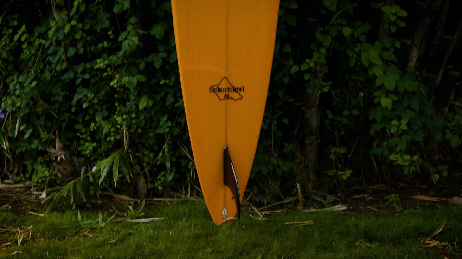 Owl Chapman Brewer Chapman Surfboard Gun for Sale in Haleiwa, HI OfferUp