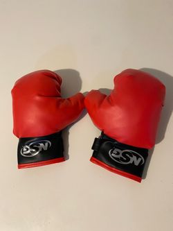 NSG Kids Boxing Gloves Set