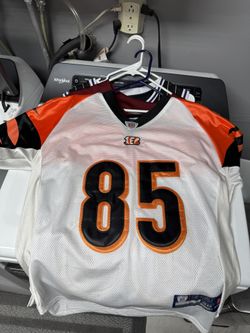 Chad Ochocinco Jersey