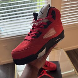 Air Jordan 5 Raging Bull