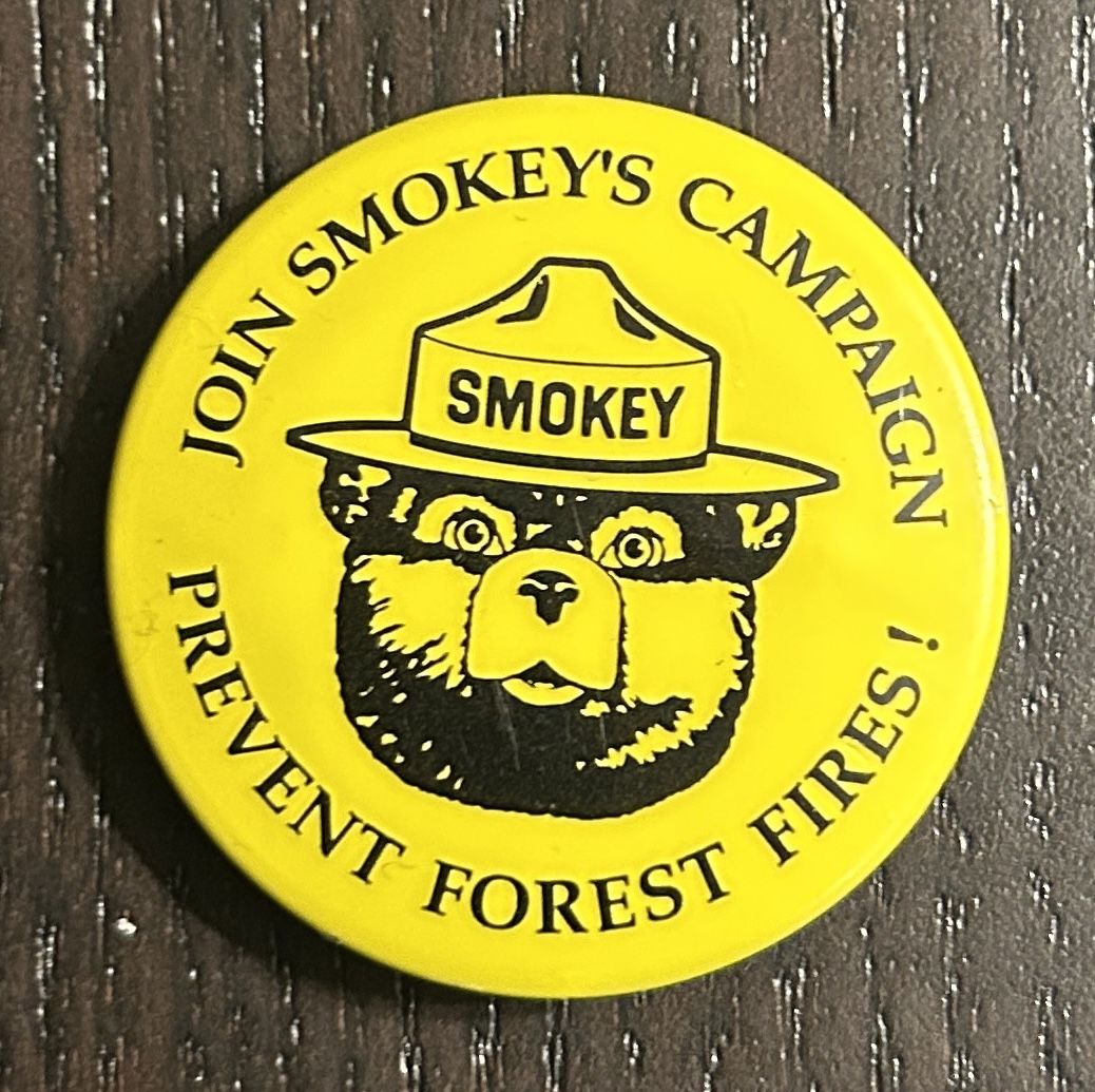 Smokey The Bear Pin