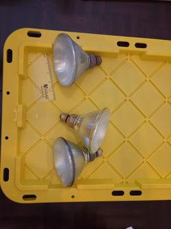 PAR38 Flood Light Bulbs – Set of 3