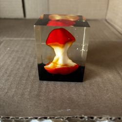 Rare 2x2 Vintage Apple Core In Enclosed Lucite Block Paperweight Gift/Collect