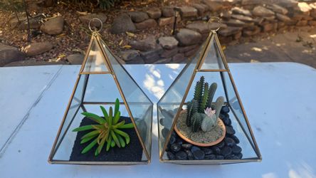 Artificial Succulent and Pebbles