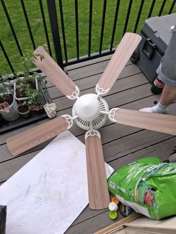 Ceiling fan
