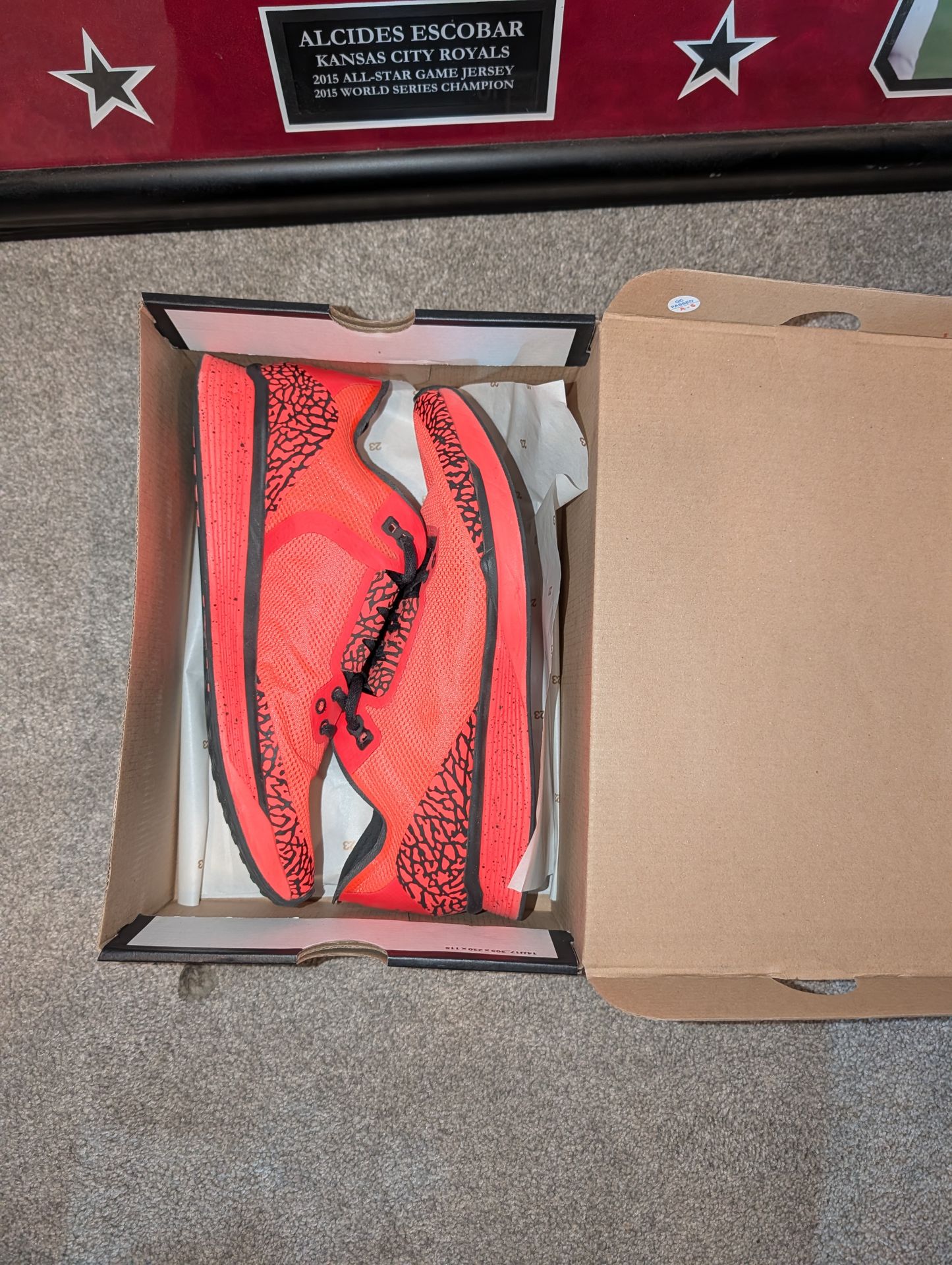 Jordan Flight Runner 2 "Infrared 23" - Elephant Print - Men's Size 10.5