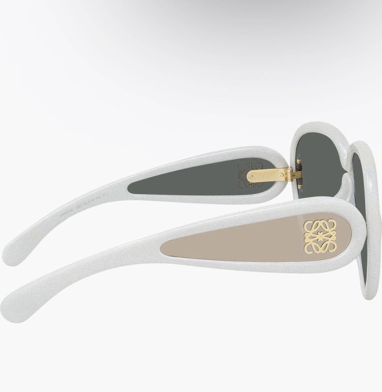 LOEWE x Paula display picture 3