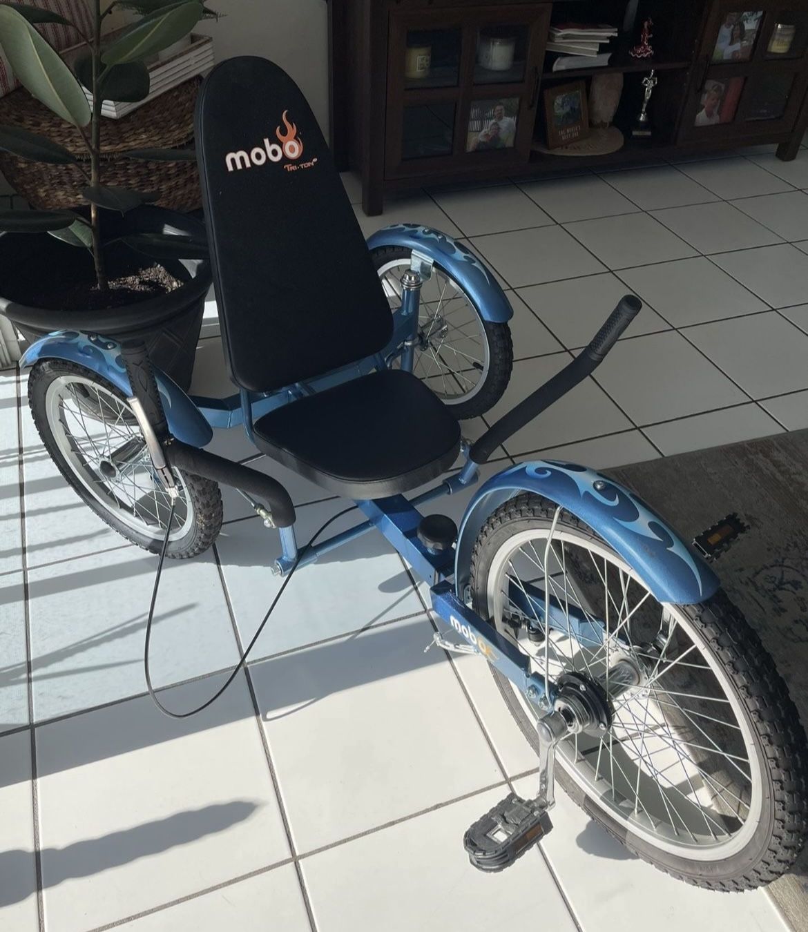 Tricycle Bike