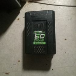 GREENWORKS  PRO 60 VOLT MAX 5.0  300 WH.