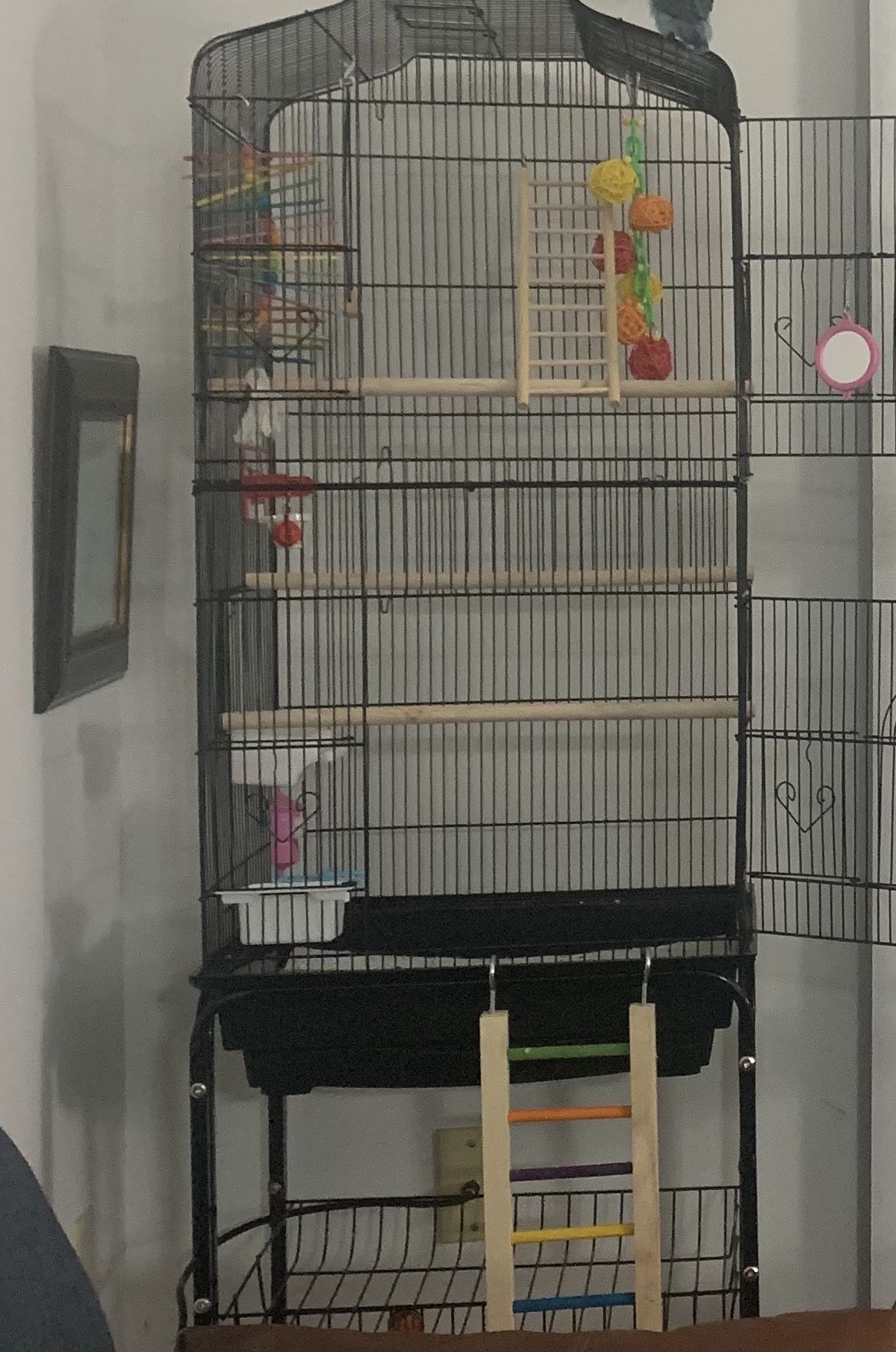 Birdcage