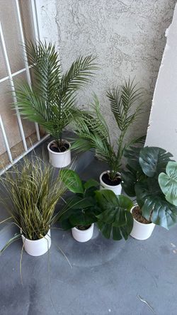 Fake Plants