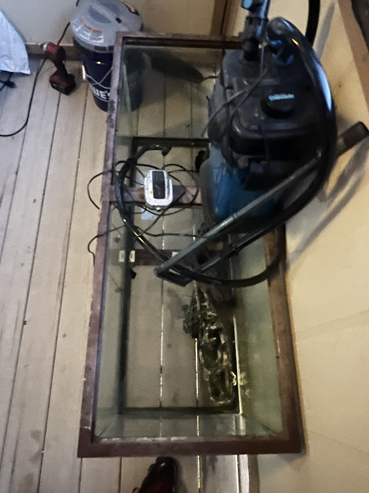 90 Gallon Fish Tank W/accessories