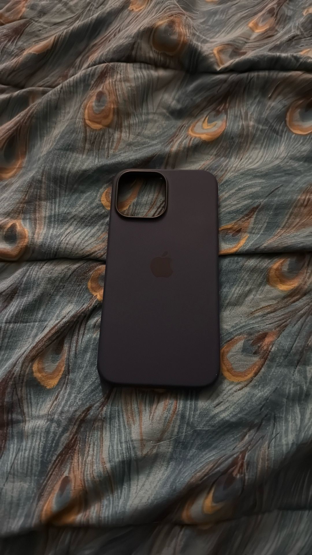 iPhone 13 Pro Max Case