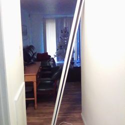 Motorized Screen Projector 