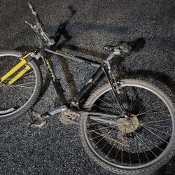 Mountain bike