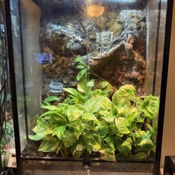 24x18x36 Tank Want To Trade For A Bigger One.