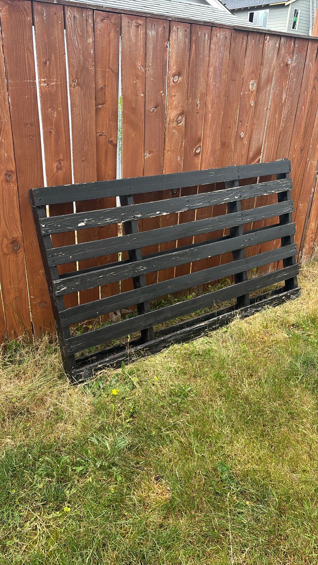 Free Large Pallet. Painted black for a project but didn’t get around to it.
