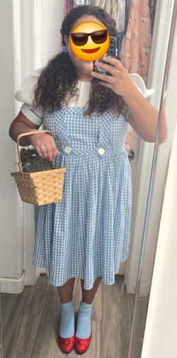 Complete Dorothy Wizard of Oz costume