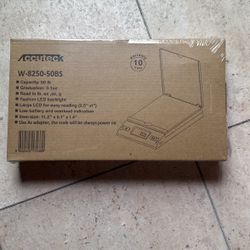Postal Scale 